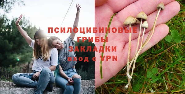 меф Осинники